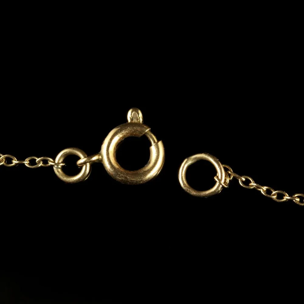 Antique Victorian Ruby Gold Locket And Chain Circa 1900