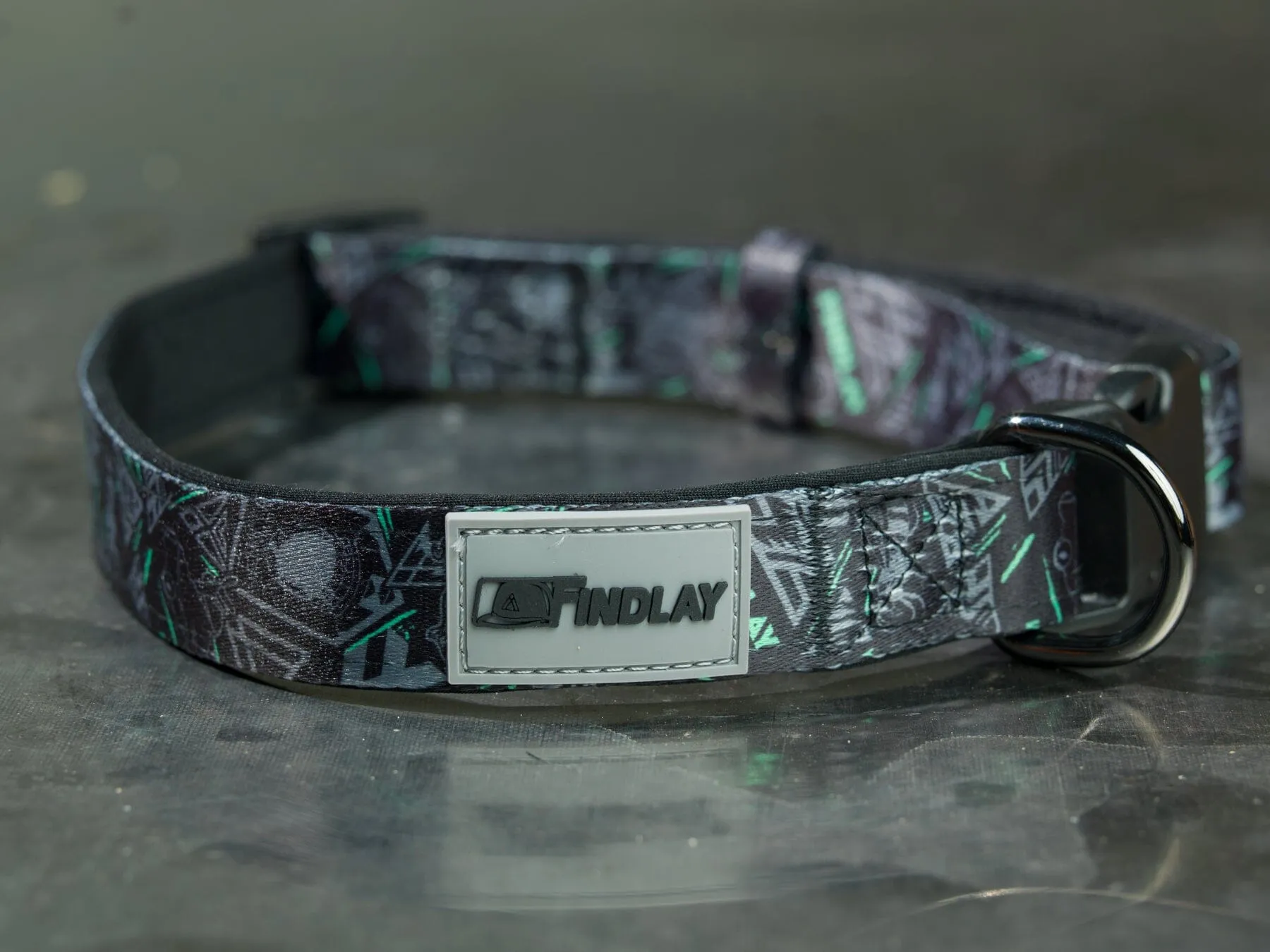 Findlay Dog Collar