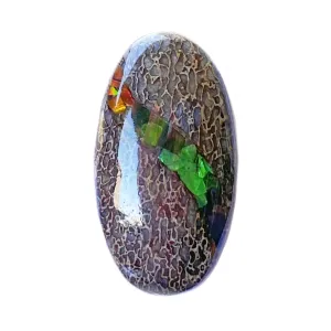 Fossil Dinosaur Bone with Ammolite Inlay Large Cabochon 40mm - 1 piece