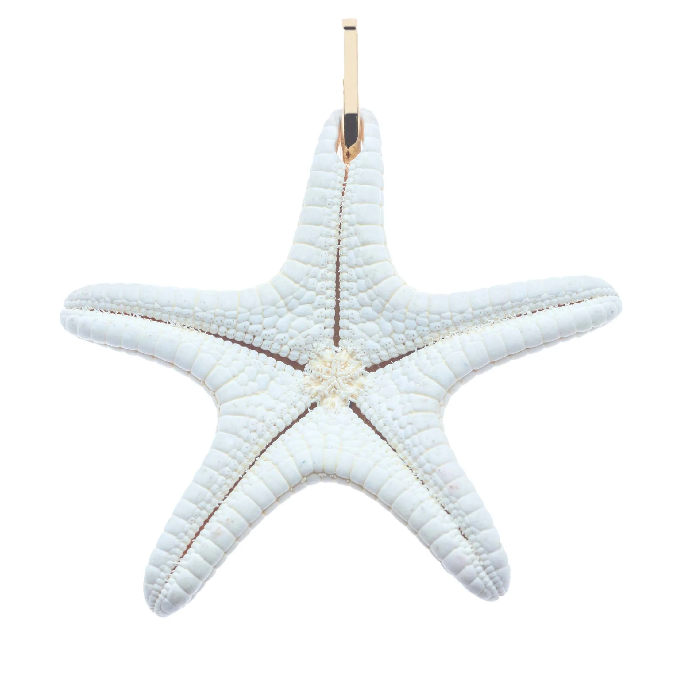 INSPIRATION Starfish Pendant