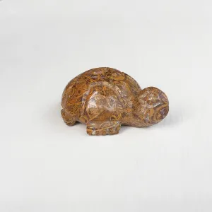Mariam Tortoise
