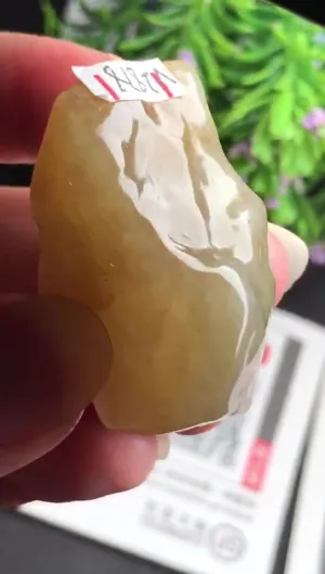 Natural Jade Rough Jadeite Raw (28g,3.5x2.4x1.7cm)-V2878