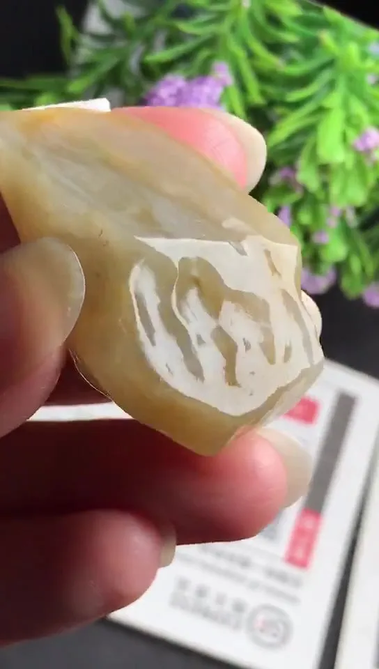 Natural Jade Rough Jadeite Raw (28g,3.5x2.4x1.7cm)-V2878