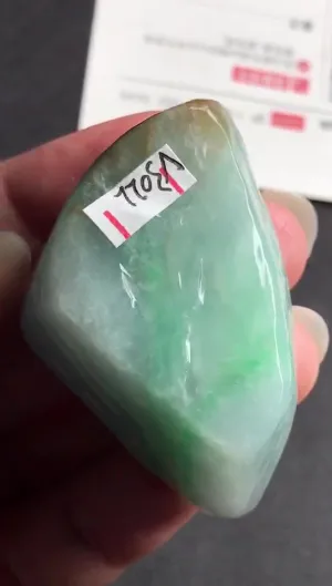 Natural Jade Rough Jadeite Raw (53g,3.8x3.2x2.4cm)-V3022