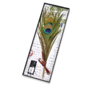 Natural Peacock Quill and Ink Set
